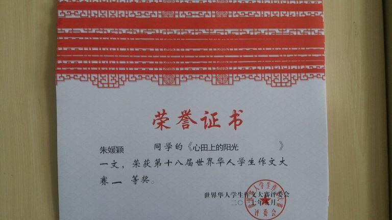 市中小学生在第十八届世界华人学生作文大赛中