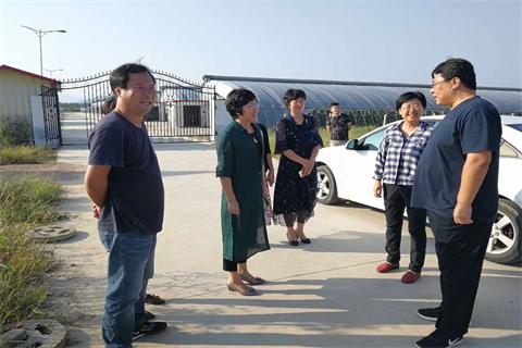 威海市妇联督导调研巾帼乡村旅游扶贫工作