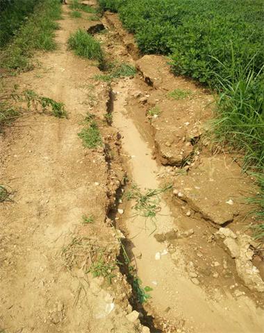 【活动信息】市妇联走访帮扶村 践行4+1+X工