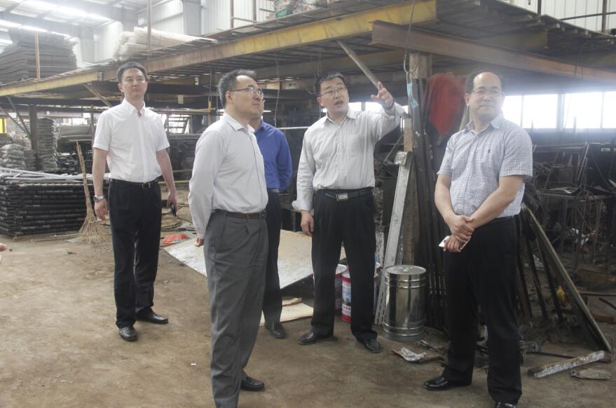 市环境保护督察组来我区开展督查