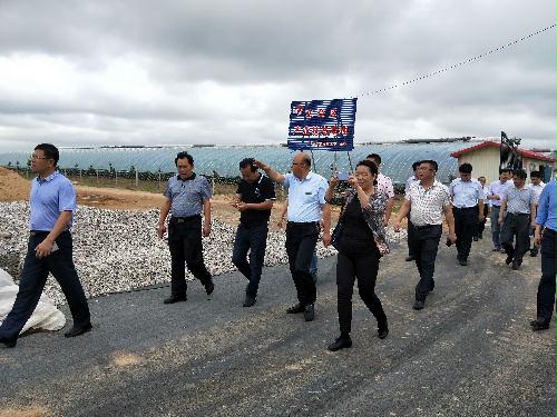 市供销社开展融合创新谋发展,铮铮誓词展初心