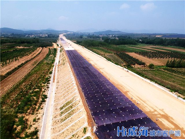 文登区2020年人口_2020年人口普查图片