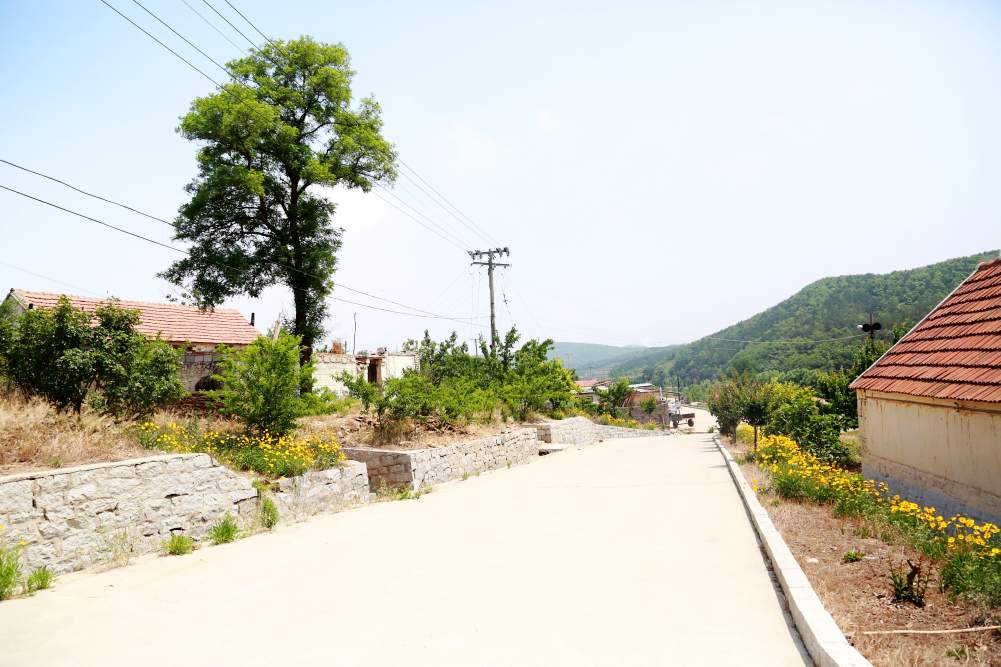 初村镇多措并举 美丽乡村入画来