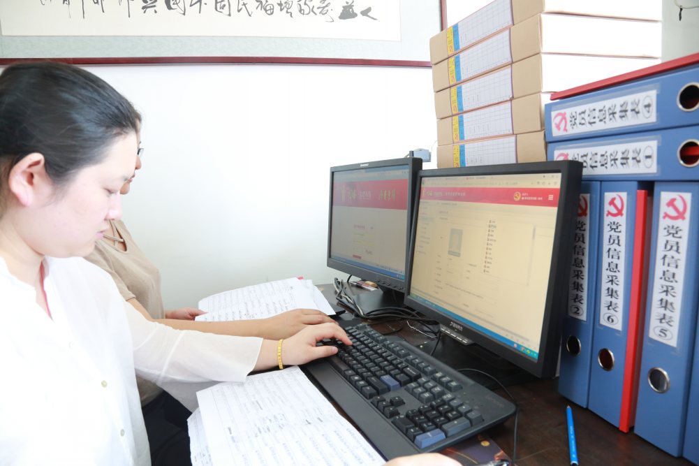初村镇党员基本信息采集高质高效推进