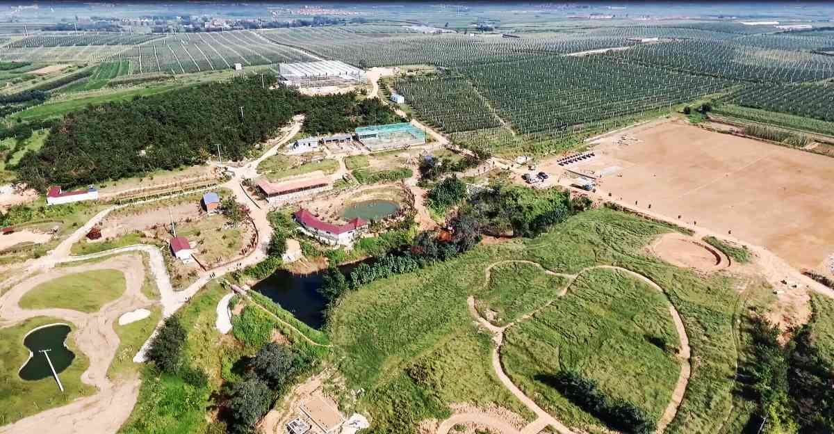 初村健康特色小镇:产业特色融入城市内涵