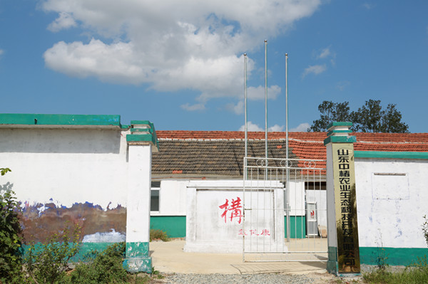 初村镇构树喜获丰收 小构树盘活大扶贫