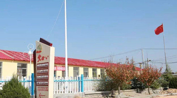 初村镇:以党建引领村级治理推动乡村组织振兴