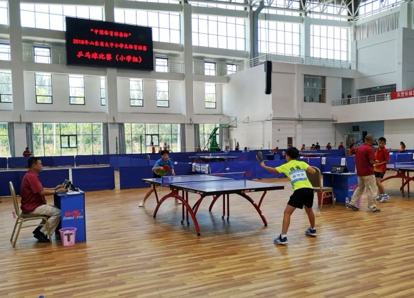 钦小乒乓球省赛斩获冠亚军