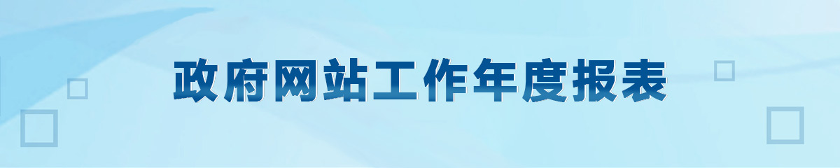 政府网站工作年度报表