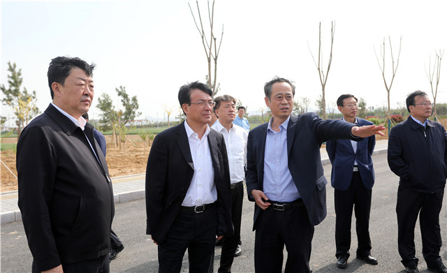 威海市人民政府 今日威海 苦干实干,攻坚克难,加快推进项目建设