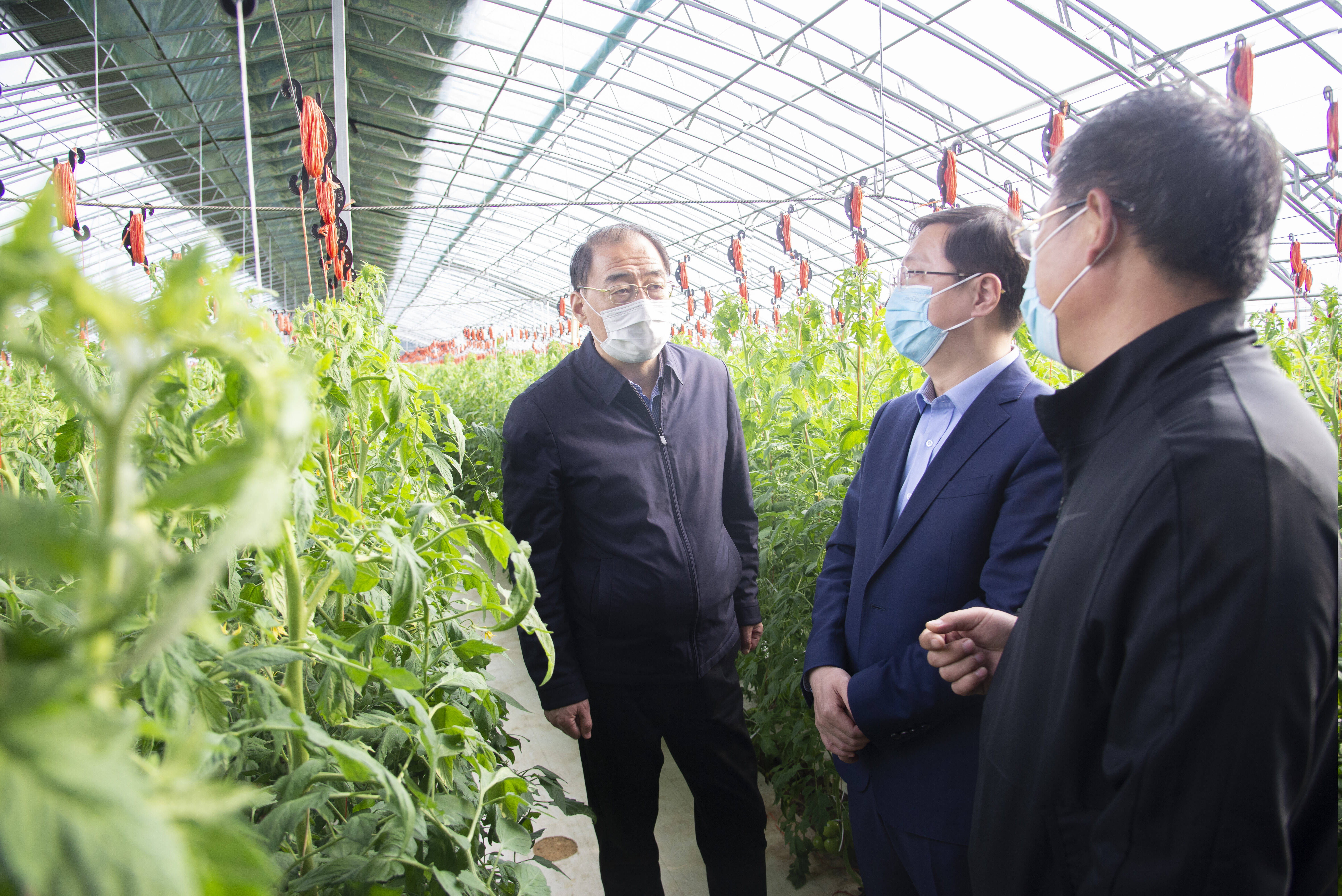 张宏璞到我市调研春季农业生产工作