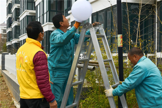 我们的创建故事丨社区有支“啄木鸟”服务队