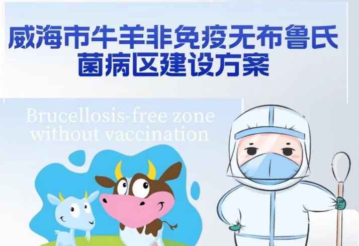 一图读懂 |《威海市牛羊非免疫无布鲁氏菌病区建设方案》