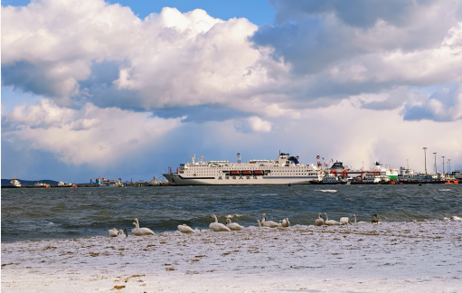 冬游威海 情满山海丨威海“山海共白头”独特美景引发网友分享热潮