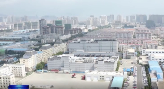 “走在前 挑大梁·新春走基层”丨为“出海”企业发展添翼