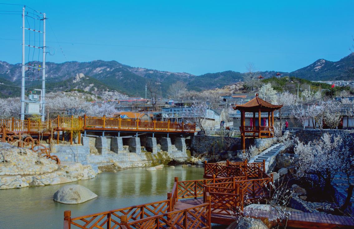 梧桐庵村.jpg