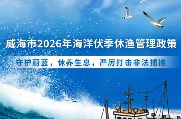 一图读懂|《威海市人民政府办公室关于做好海洋伏季休渔管理工作的通知》