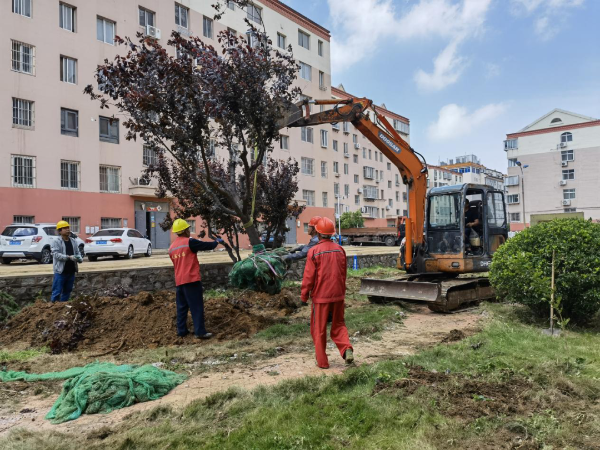 赤日炎炎,一支支建设队伍在老旧小区中忙碌,工程师现场指挥,工人们