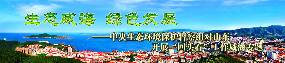中央第三轮生态环境保护督察组对山东开展回头看