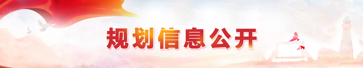 规划信息公开